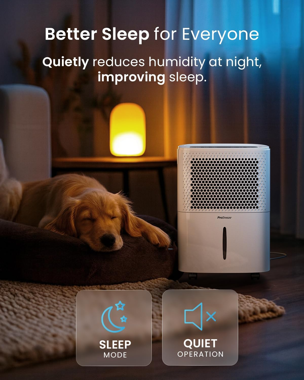 Pro Breeze 12L Low Energy Compact Dehumidifier with Automatic Humidity Sensor & Display