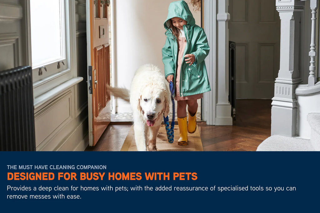 Clyvora - SpotWash Home Pet-Design