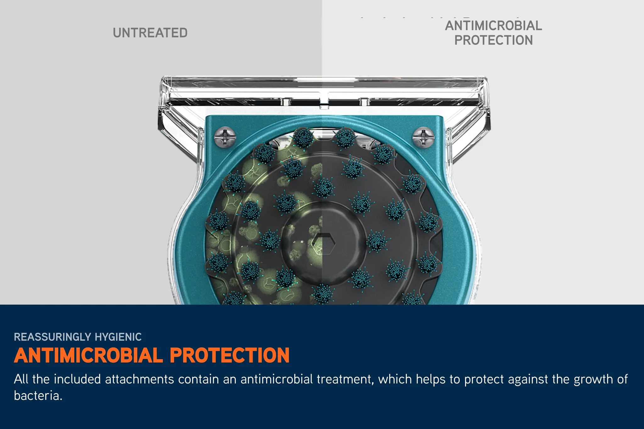 Clyvora - SpotWash Home Pet-Design